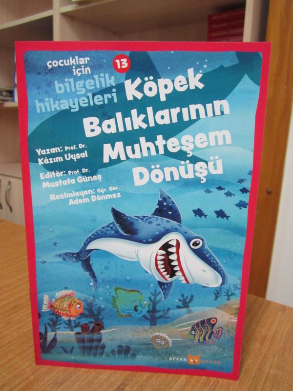 Köpek Balıklarının Muhteşem Dönüşü / Çocuklar için Bilgelik Hikayeleri 13