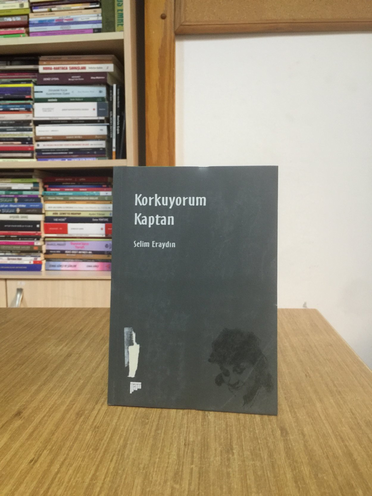 Korkuyorum Kaptan - Selim Eraydın