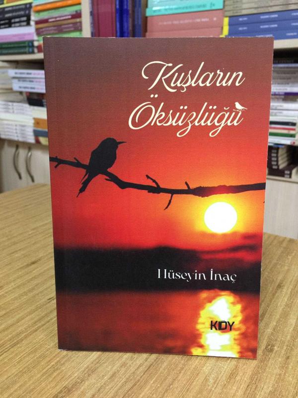 Kuşların Öksüzlüğü - Hüseyin İnaç