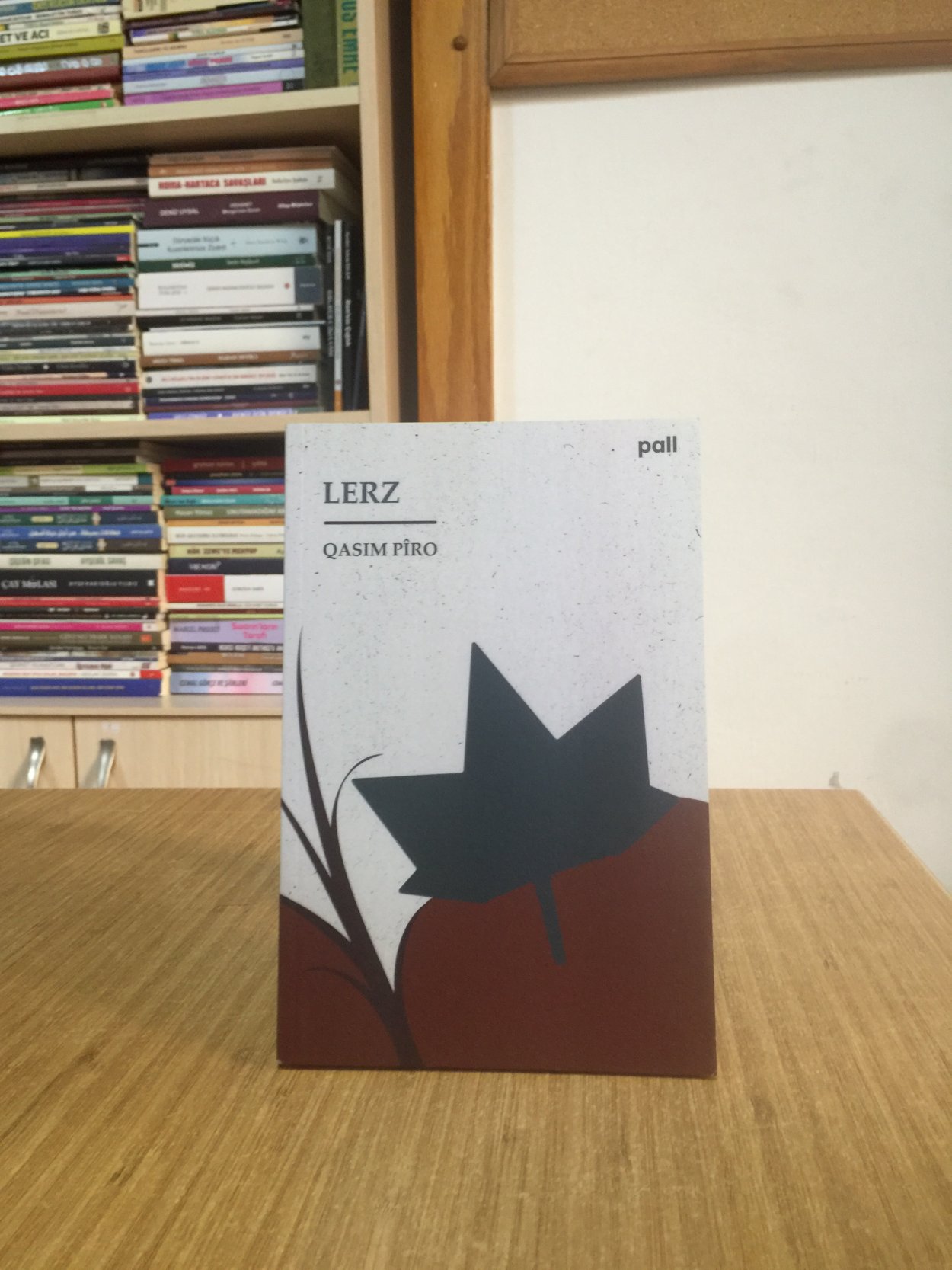 Lerz - Qasim Piro