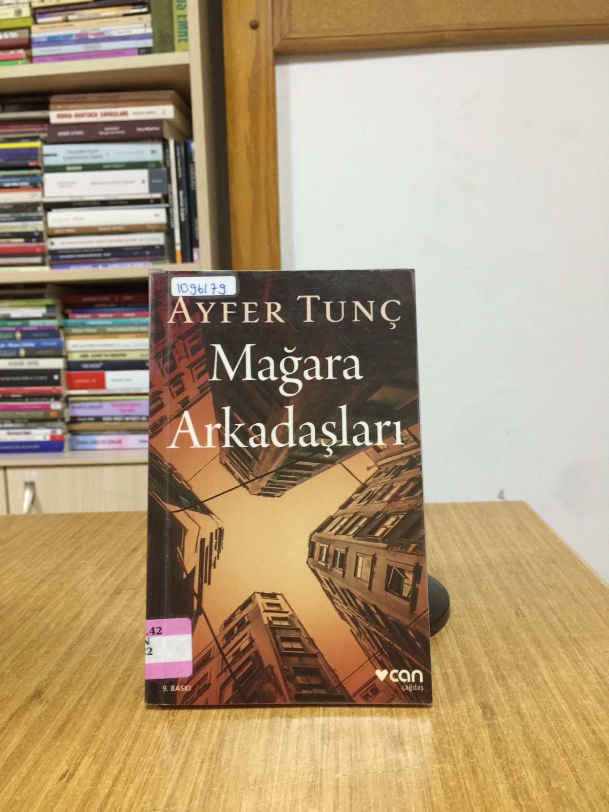 Mağara Arkadaşları - Ayfer Tunç