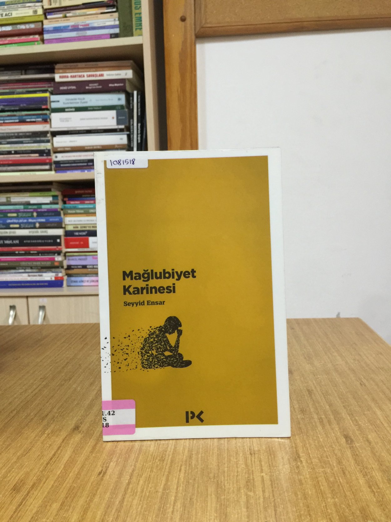 Mağlubiyet Karinesi - Seyyid Ensar