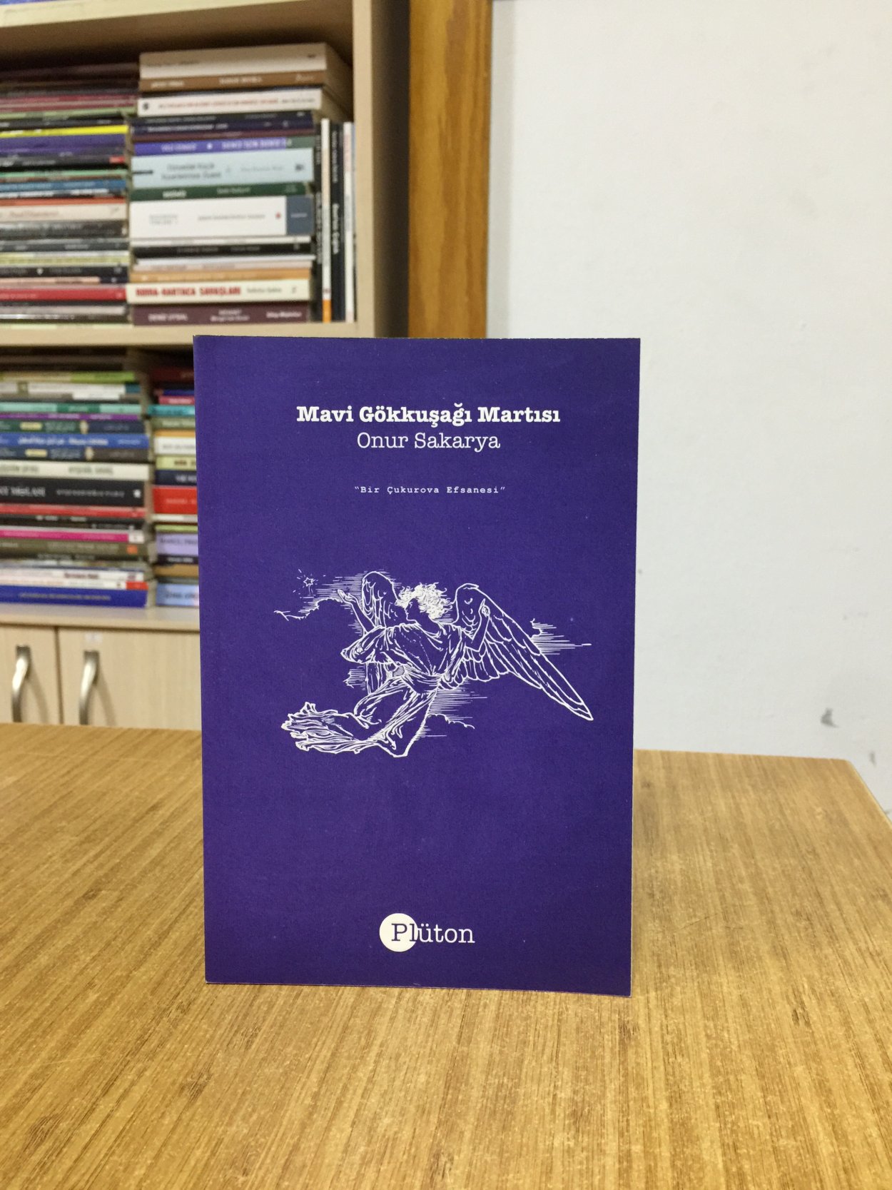 Mavi Gökkuşağı Martısı - Onur Sakarya