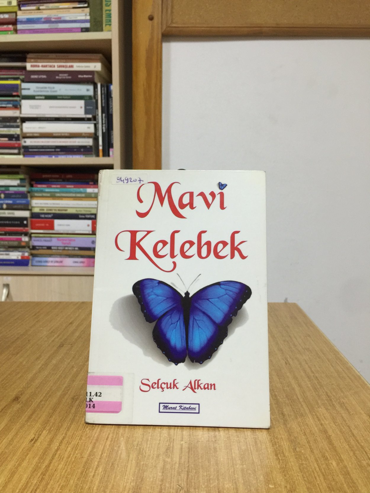 Mavi Kelebek - Selçuk Alkan