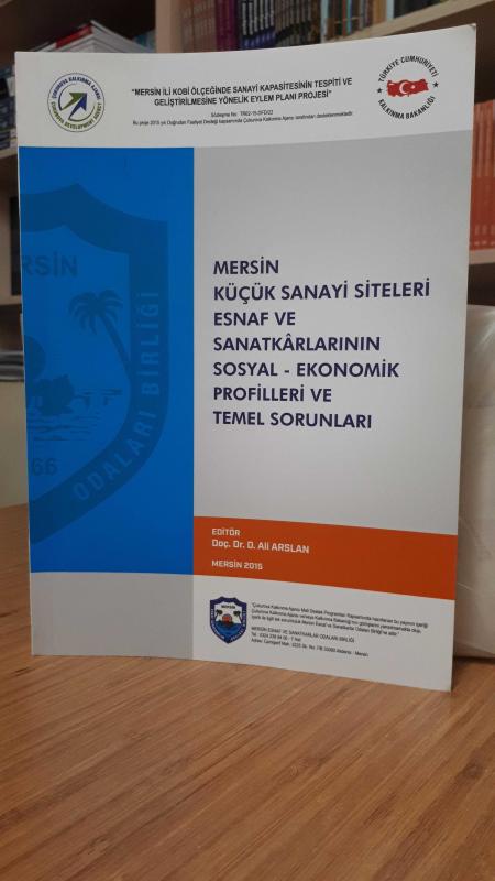 Mersin Küçük Sanayi Siteleri Esnaf ve Sanatkarlarının Sosyal - Ekonomik Profilleri ve Temel Sorunları