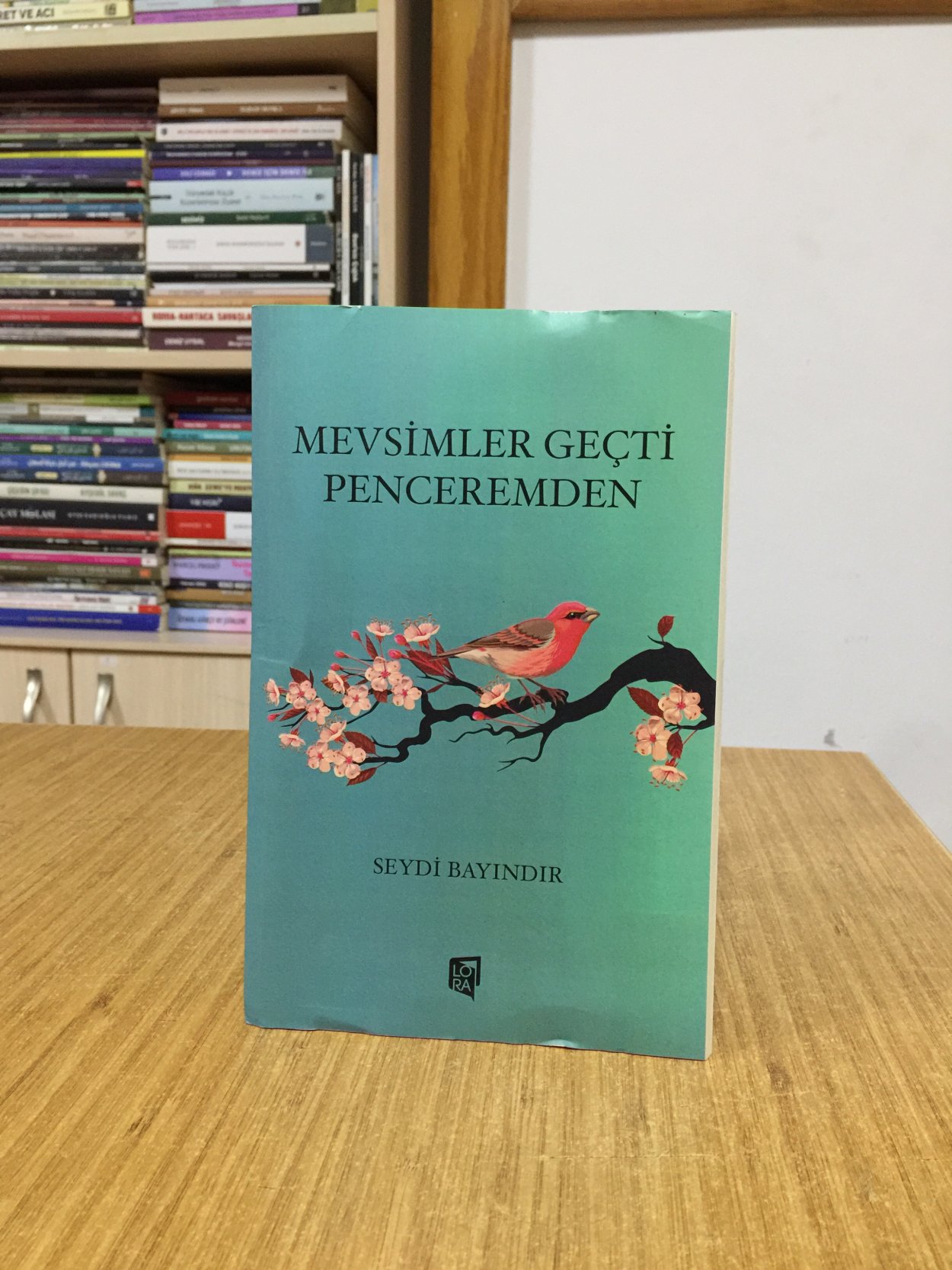 Mevsimler Geçti Penceremden - Seydi Bayındır