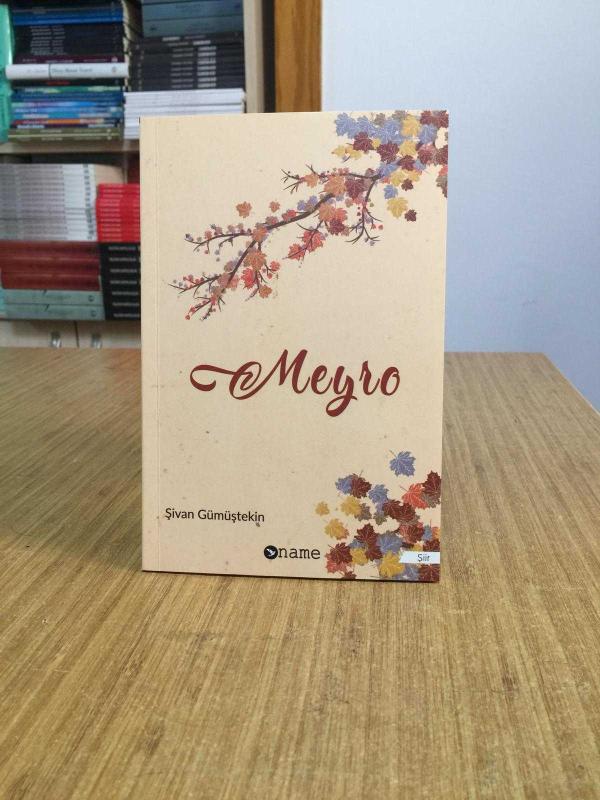 Meyro - Şivan Gümüştekin
