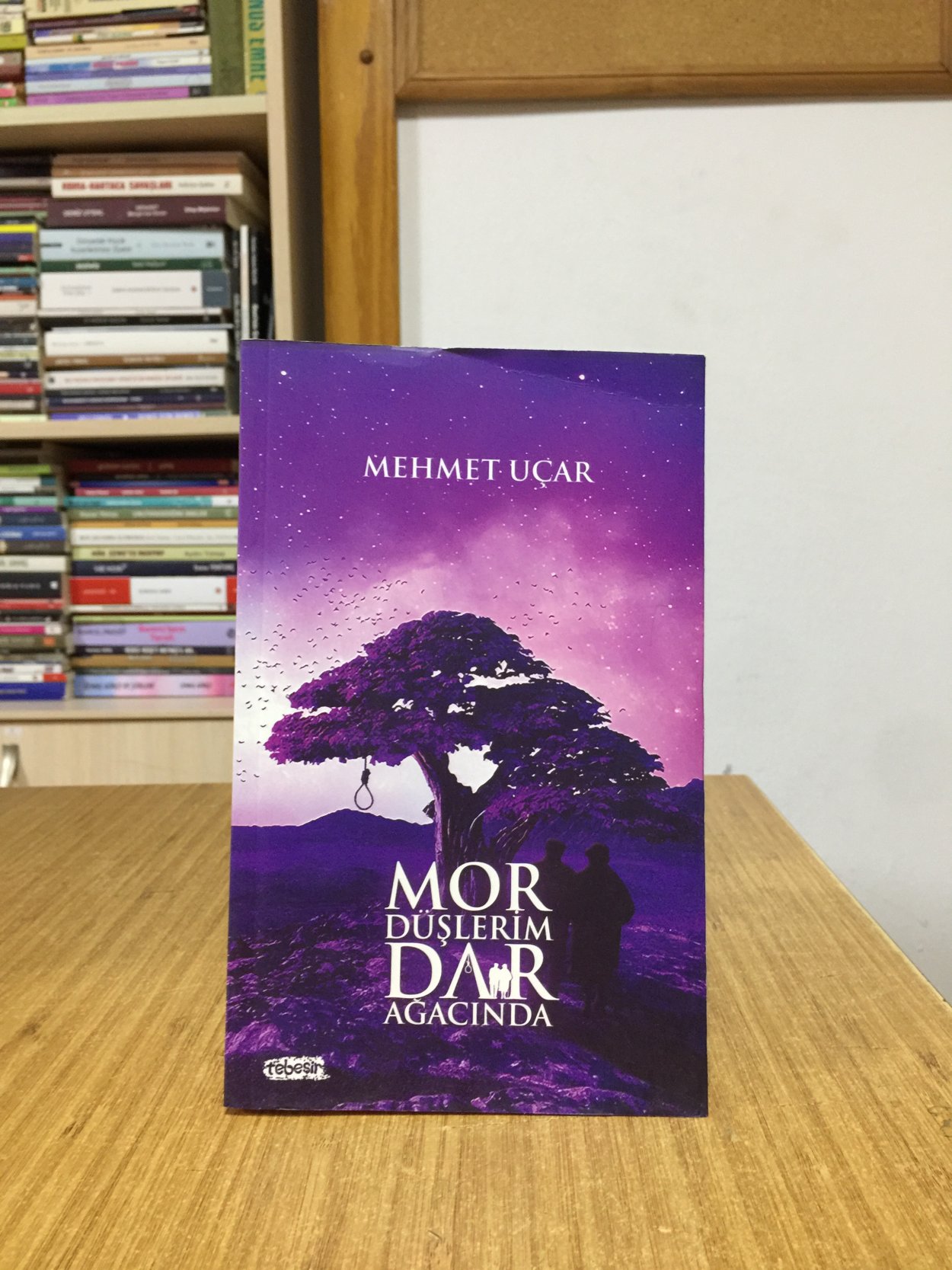 Mor Düşlerim Darağacında - Mehmet Uçar