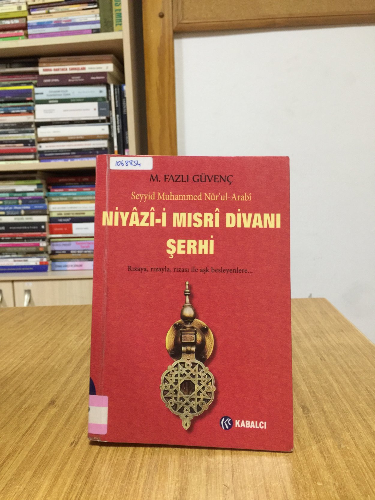 Niyazi-i Mısri Divanı Şerhi - Seyyid Muhammed Nürul Arabi