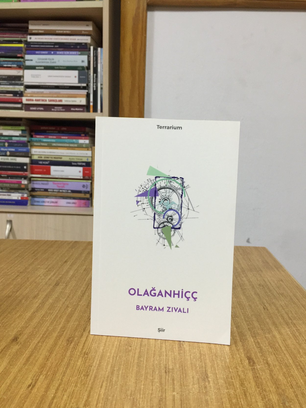 Olağanhiçç - Bayram Zıvalı