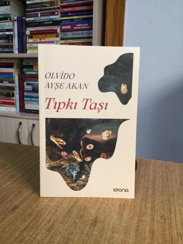 Olvido Tıpkı Taşı - Ayşe Akan