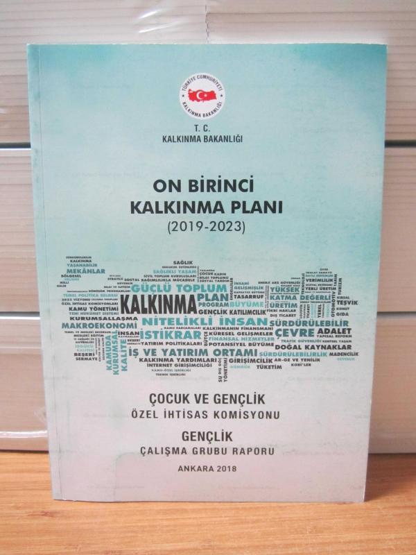 On Birinci Kalkınma Planı 2019 - 2023 - Çocuk ve Gençlik Özel İhtisas Komisyonu - Gençlik Çalışma Grubu Raporu