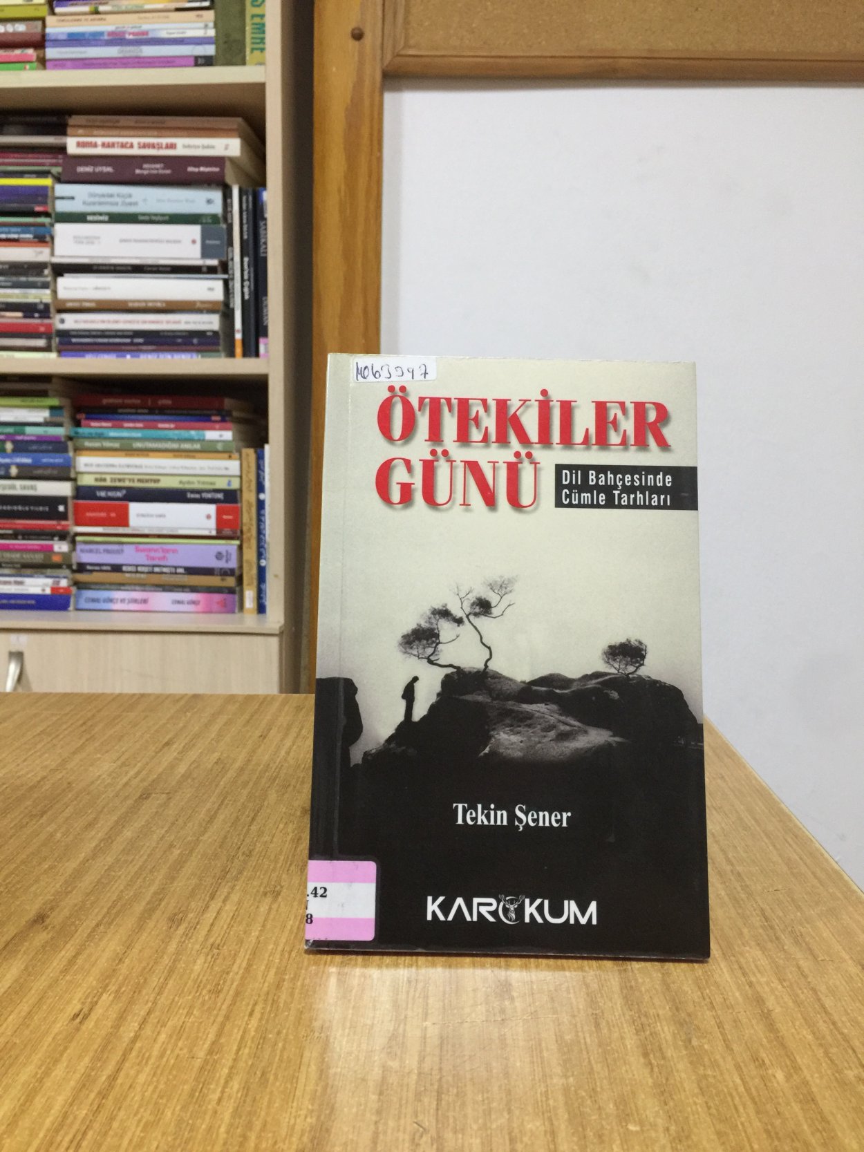 Ötekiler Günü Dil Bahçesinde Cümle Tarhları - Tekin Şener