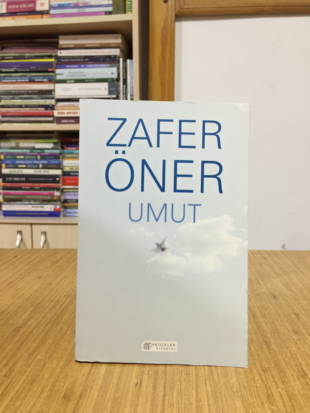 Özel Bir Aydınlanma - İdris Şah