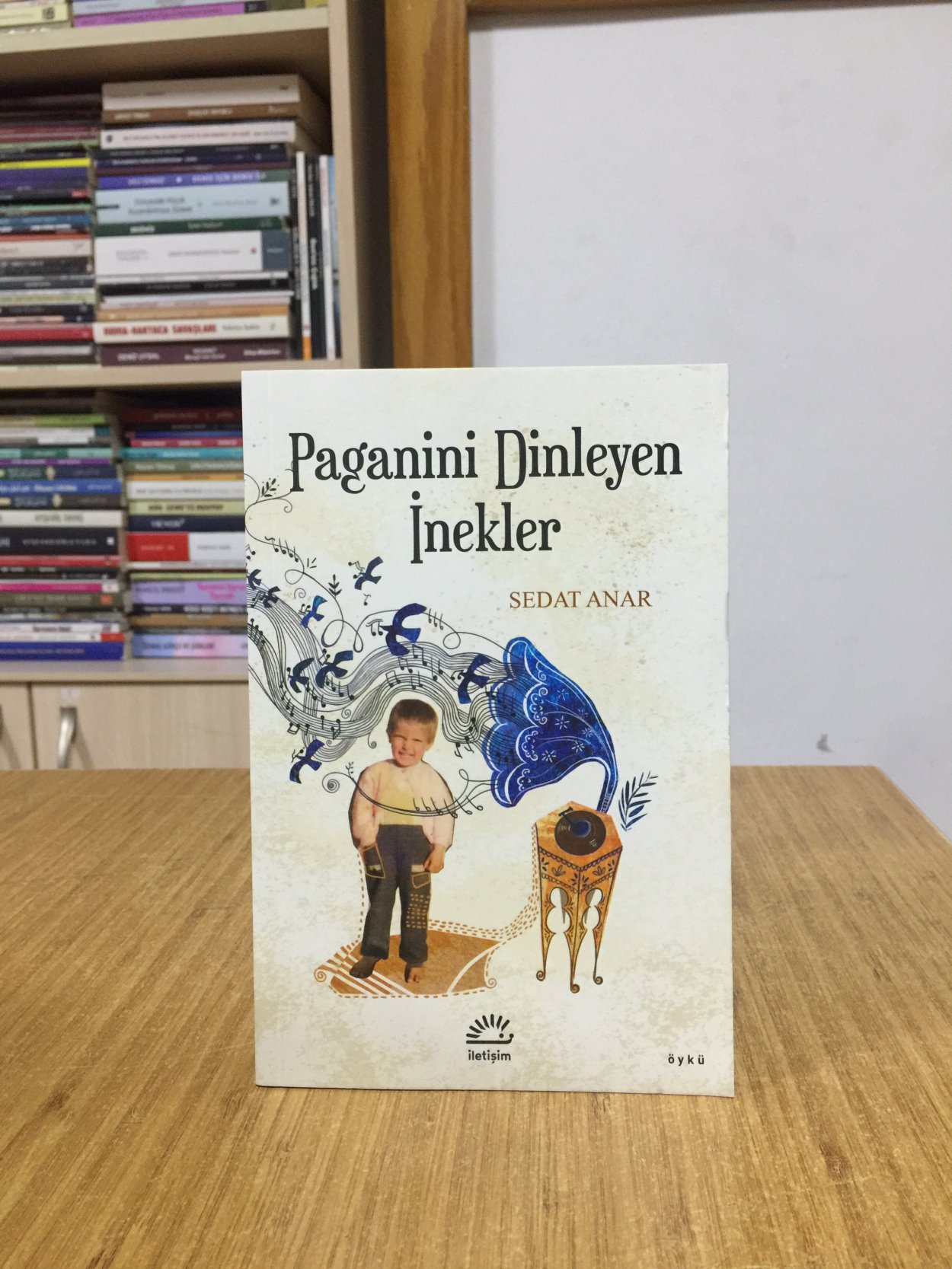 Paganini Dinleyen İnekler - Sedat Anar