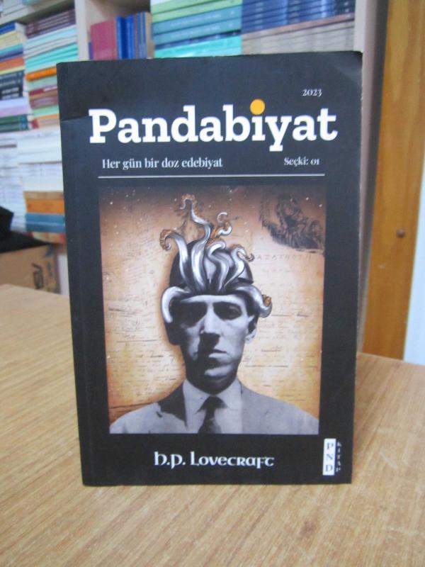 Pandabiyat 2023 Seçki: 01 - Her Gün Bir Doz Edebiyat