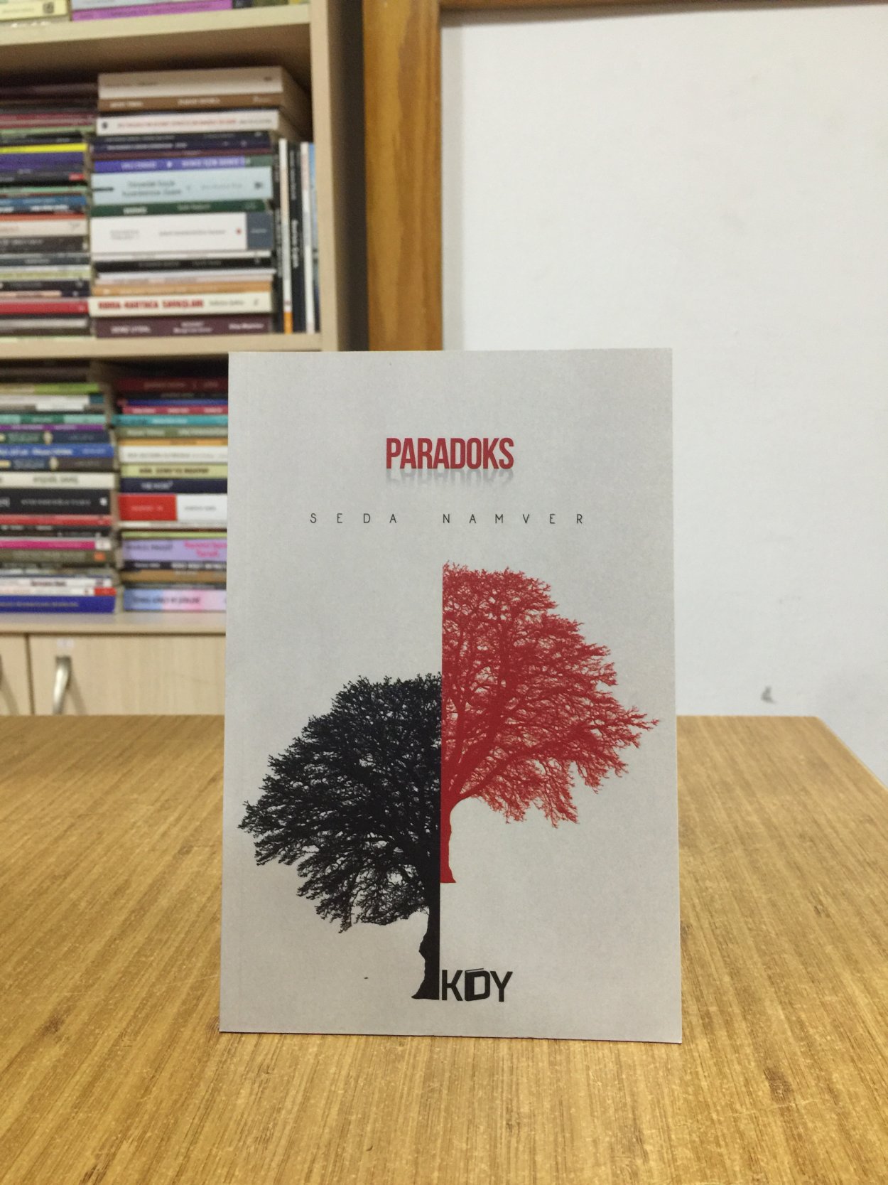 Paradoks - Seda Namver