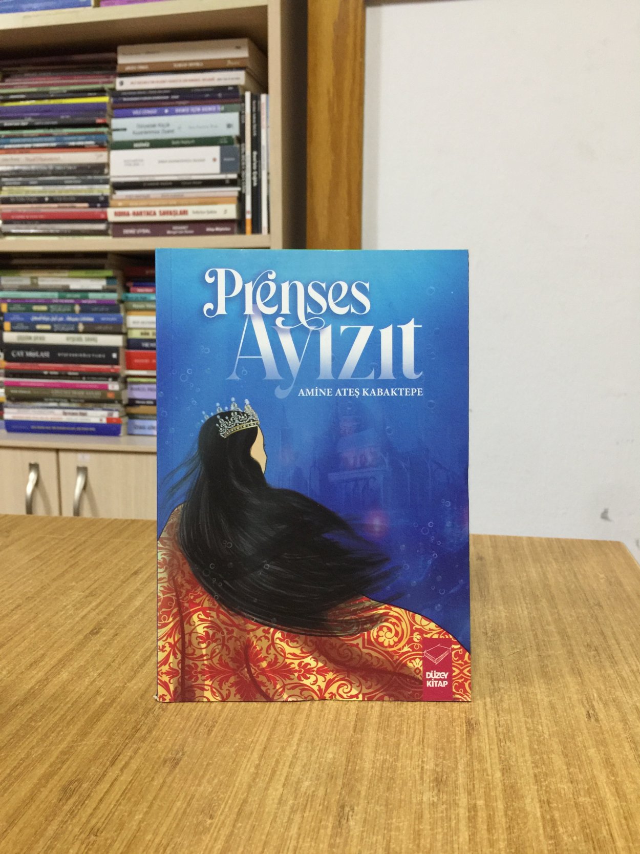 Prenses Ayızıt - Amine Ateş Kabaktepe
