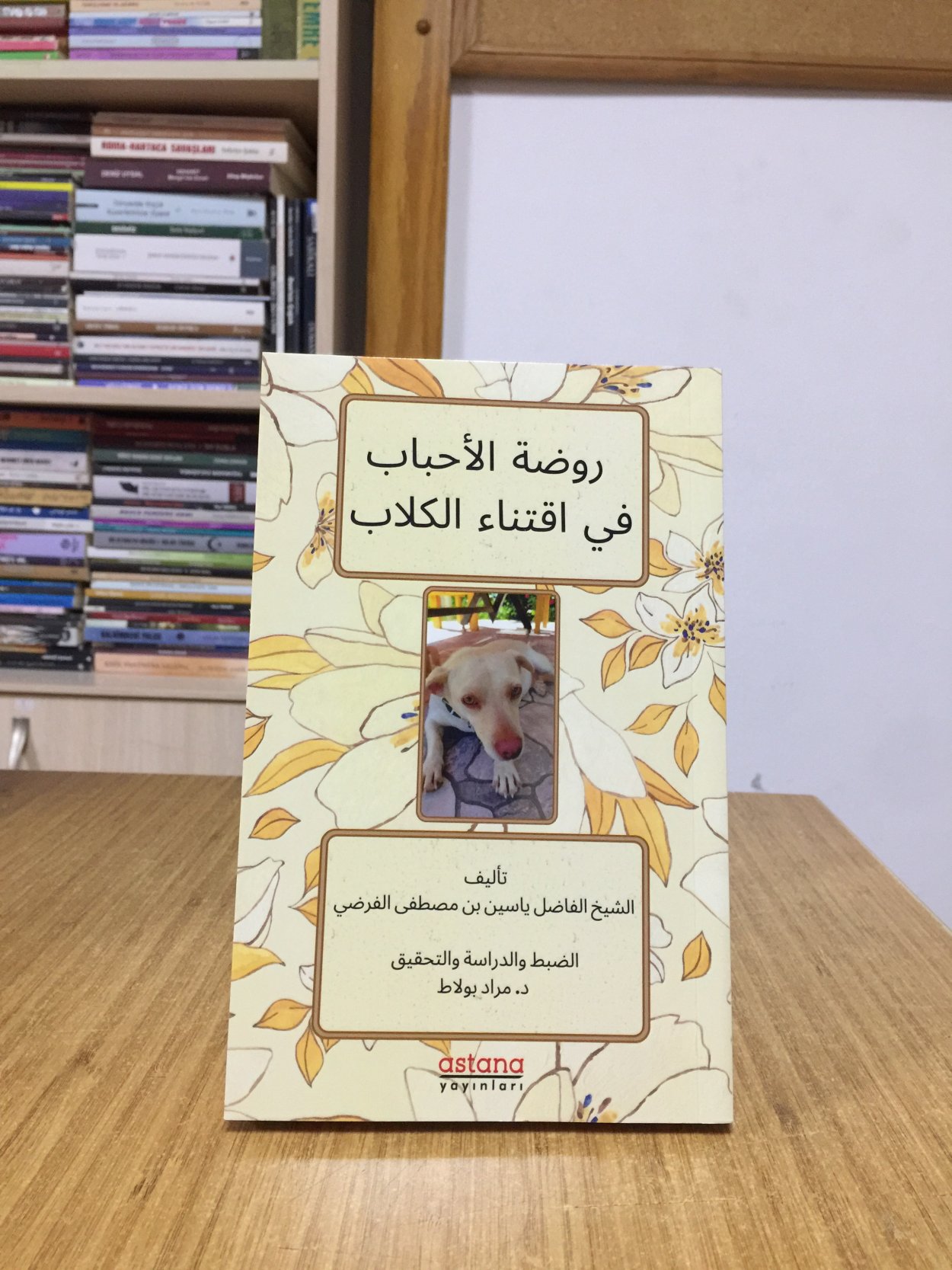 RAVZATÜ'L AHBAB Fİ İKTİNAİ'L KİLAB