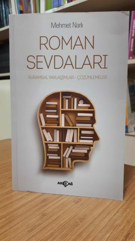 Roman Sevdaları (Kurumsal Yaklaşımlar - Çözümlemeler)