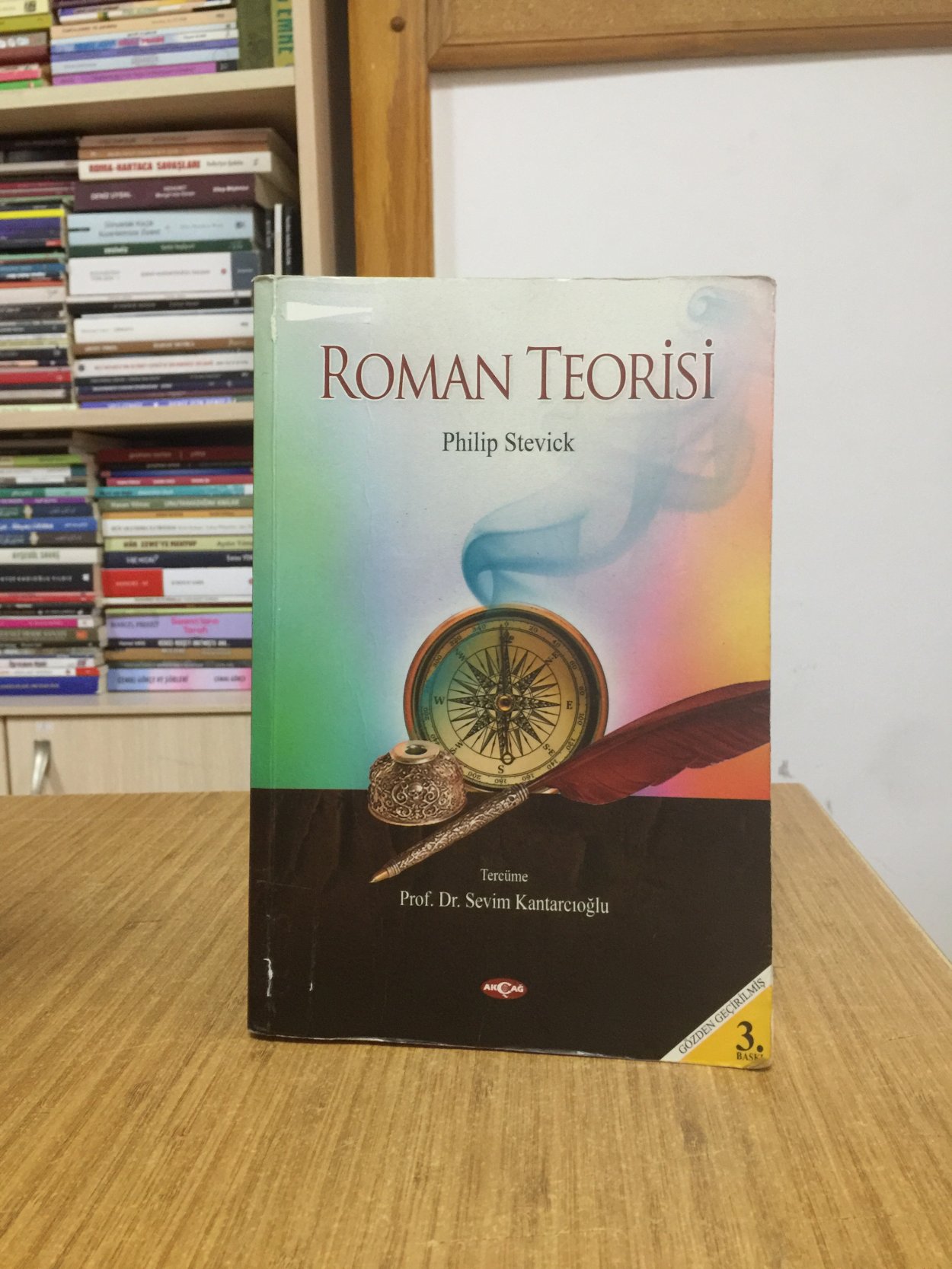 Roman Teorisi - Philip Stevick [[