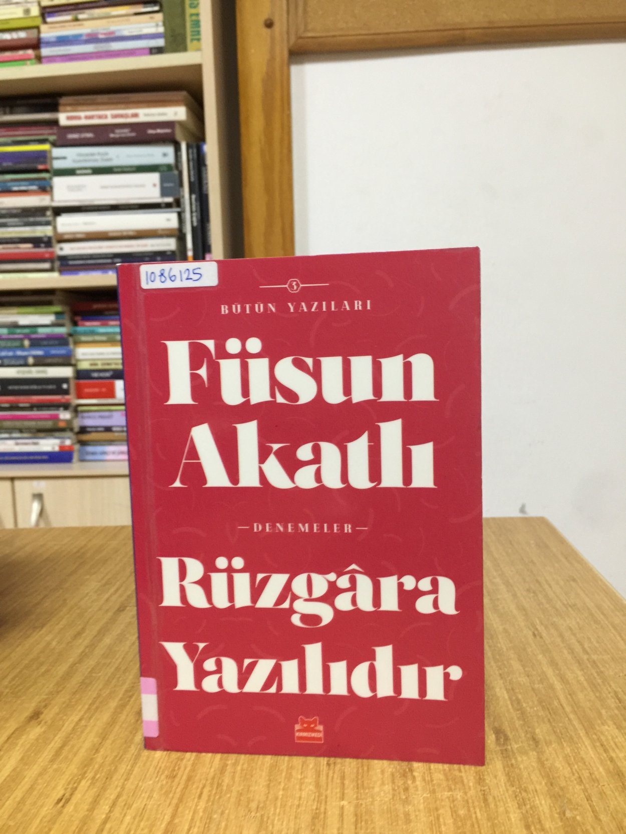 Rüzgara Yazılıdır - Füsun Akatlı / Bütün Yazıları 3