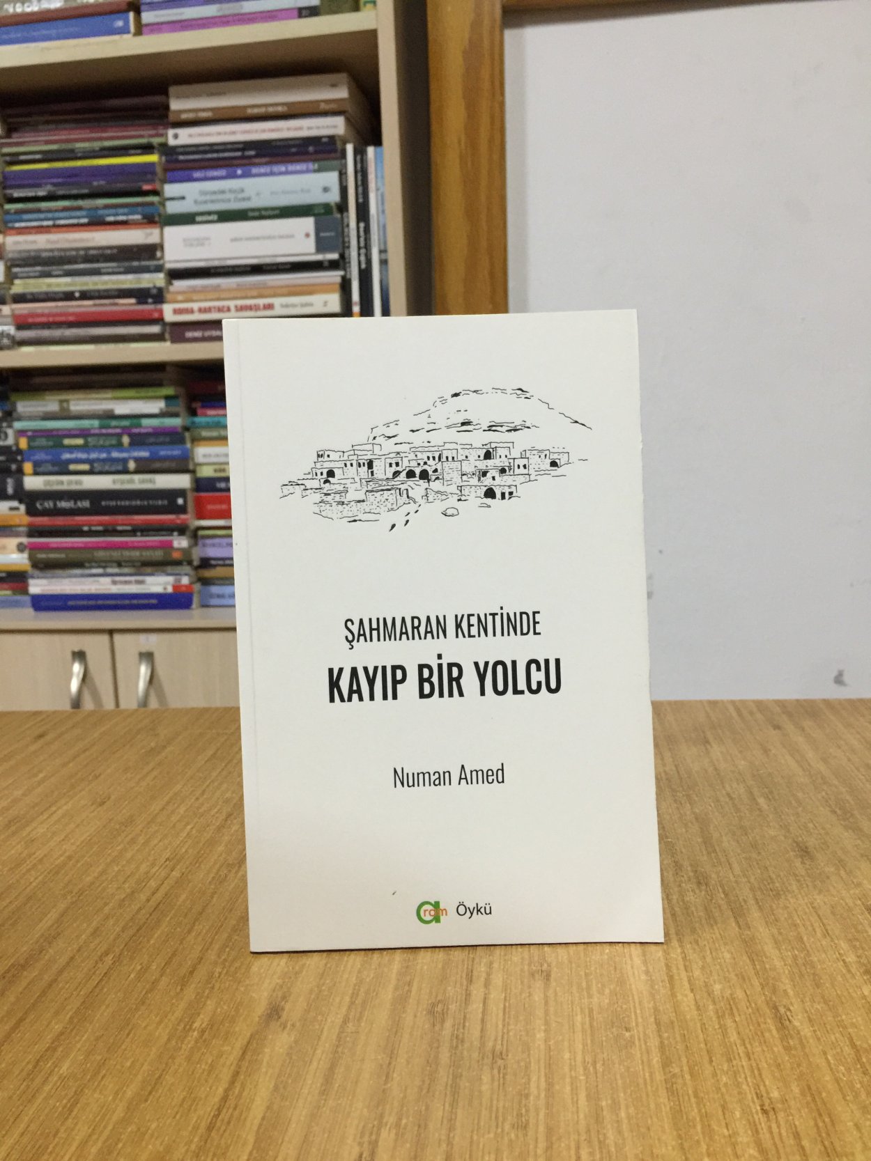 Şahmaran Kentinde Kayıp Bir Yolcu - Numan Amed