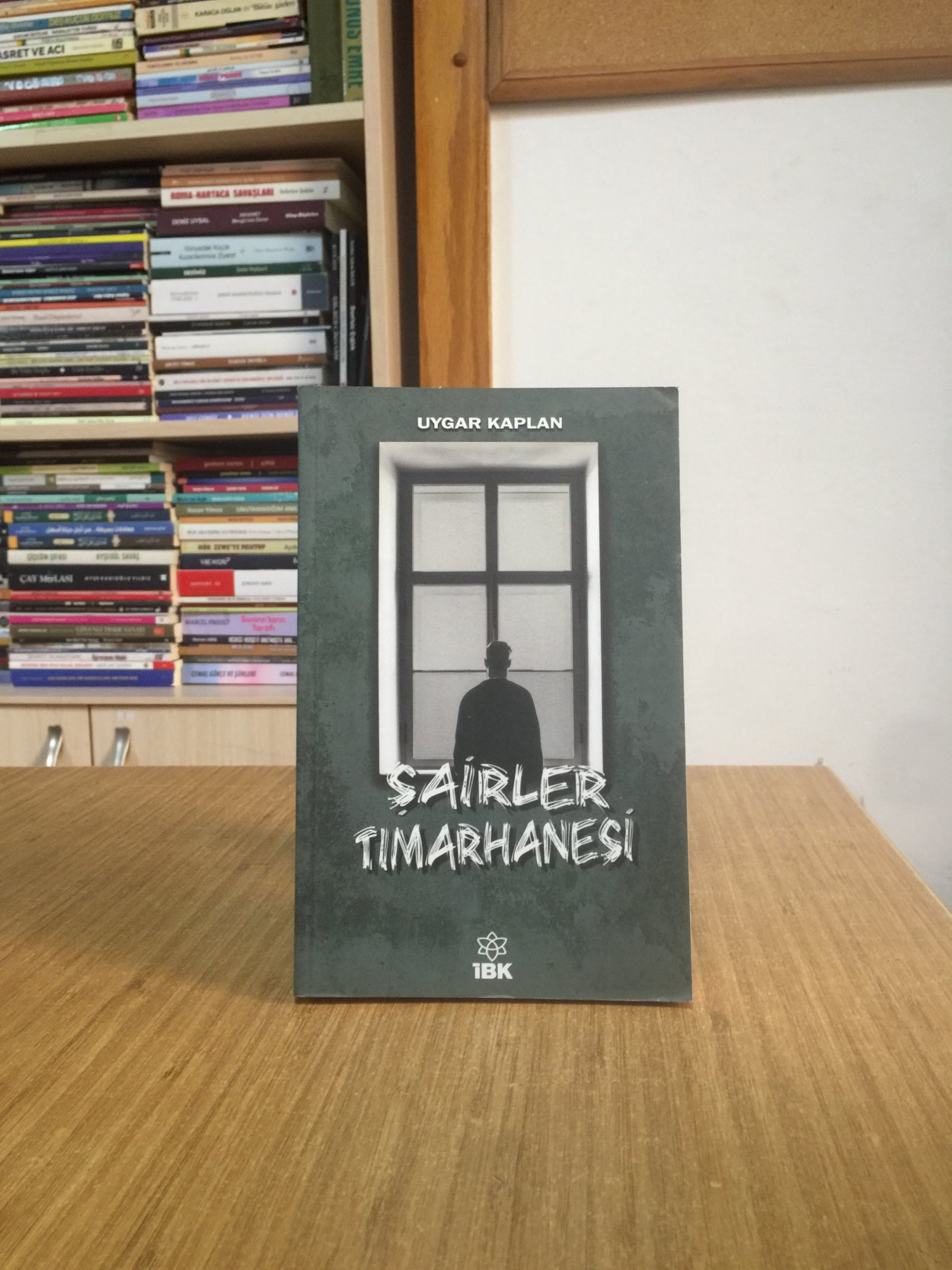 Şairler Tımarhanesi - Uygar Kaplan