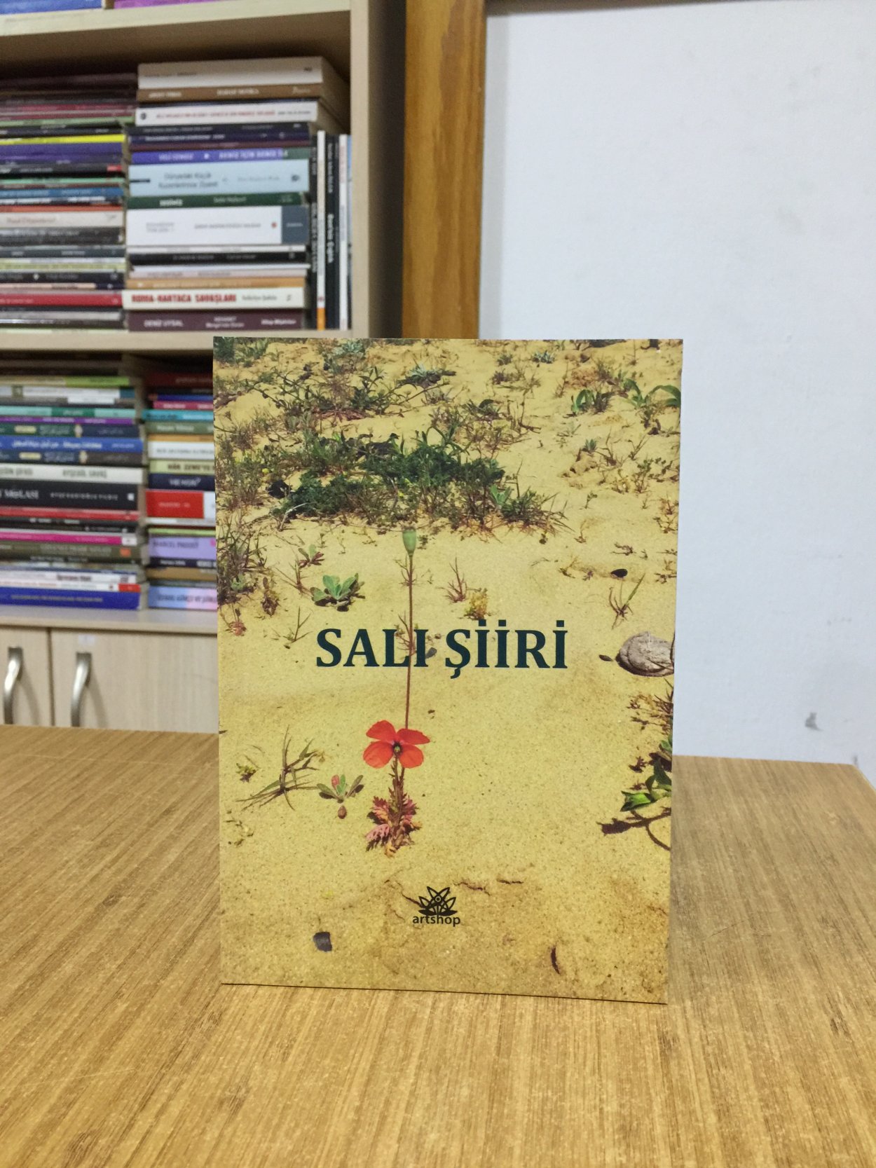 Salı Şiiri - Zeynep Yolcı