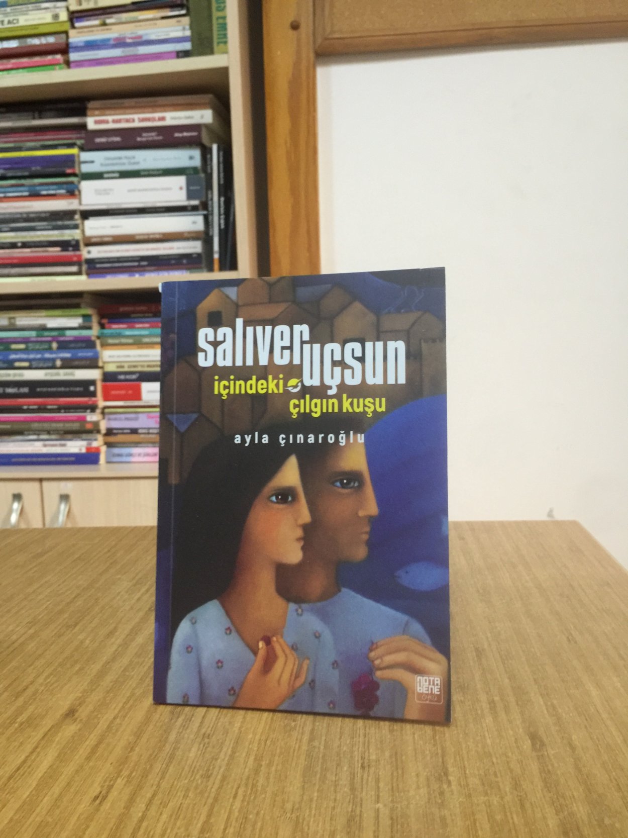 Salıver Uçsun İçindeki O Çılgın Kuşu - Ayla Çınaroğlu