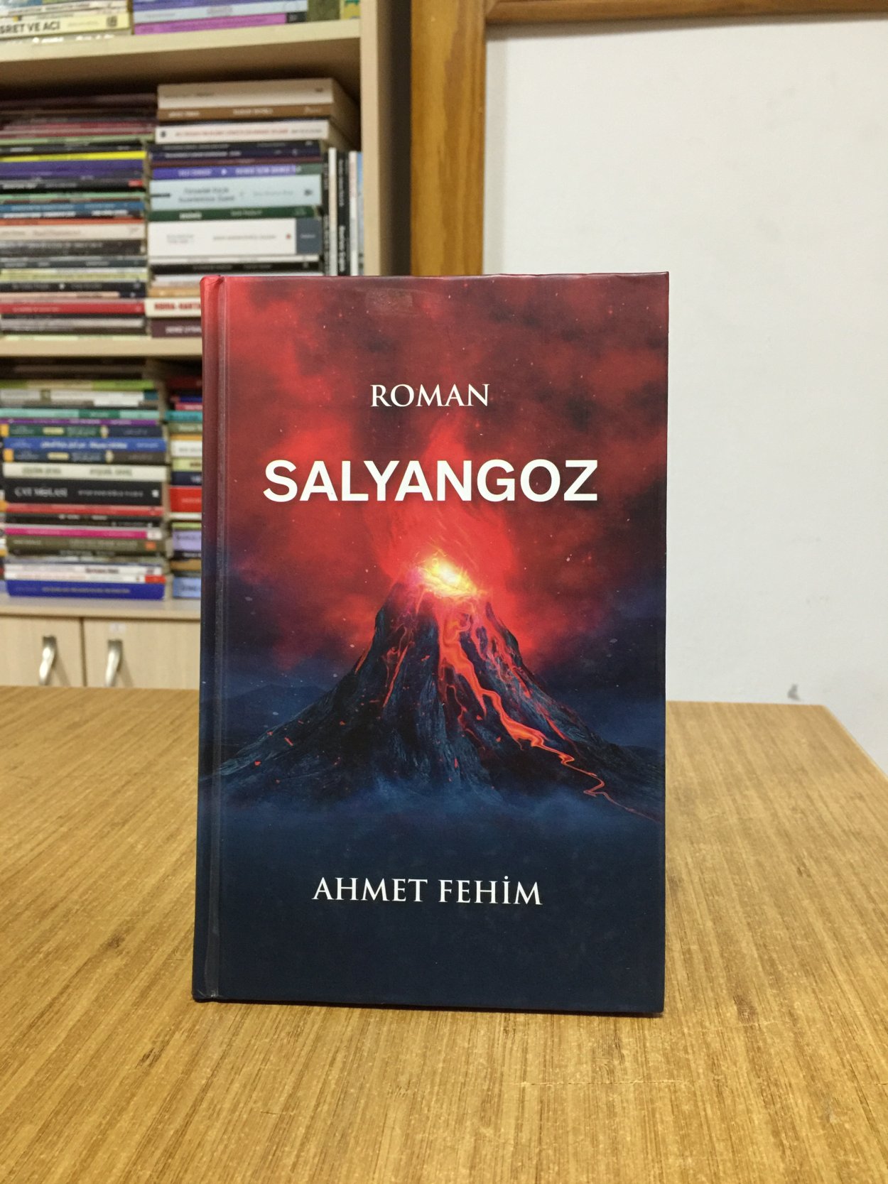 Salyangoz - Ahmet Fehim [Ciltli]