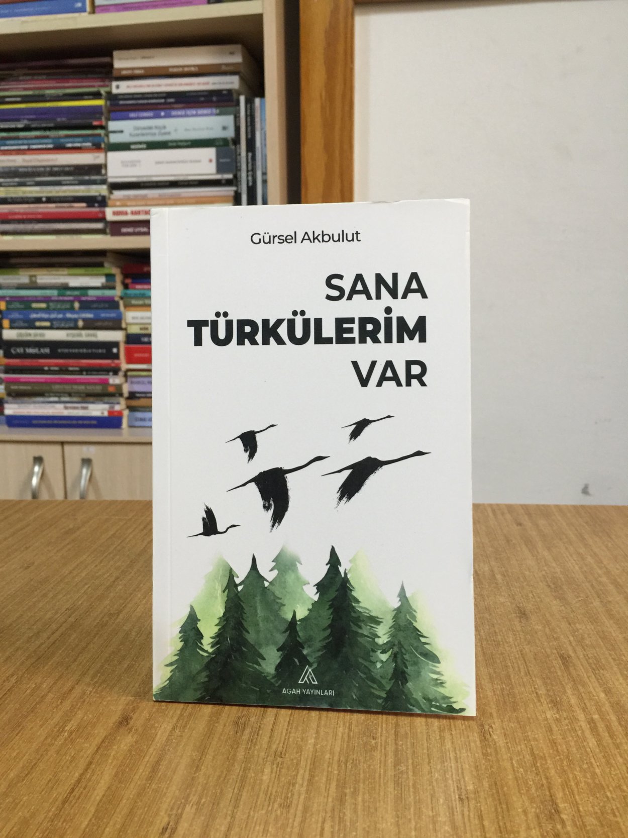 Sana Türkülerim Var - Gürsel Akbulut