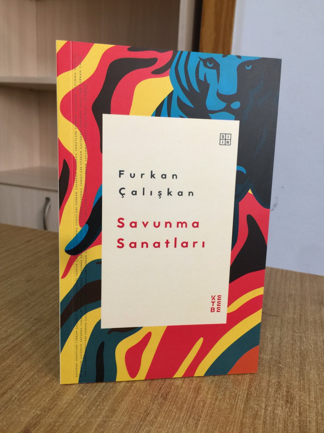 Savunma Sanatları - Furkan Çalışkan