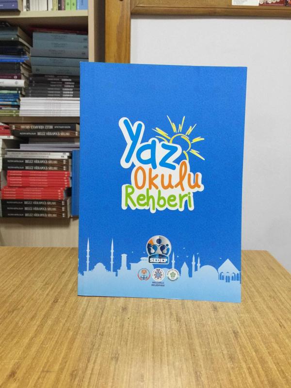 SEDEP Yaz Okulu Rehberi (2019)