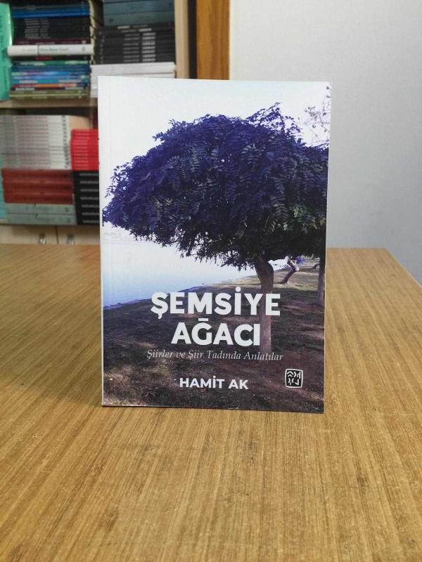 Şemsiye Ağacı - Hamit Ak