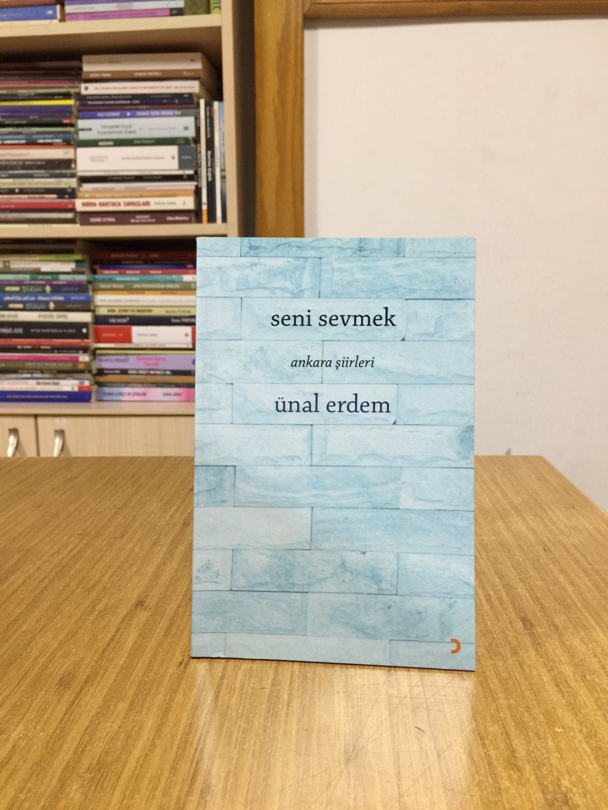Seni Sevmek - Ünal Erdem
