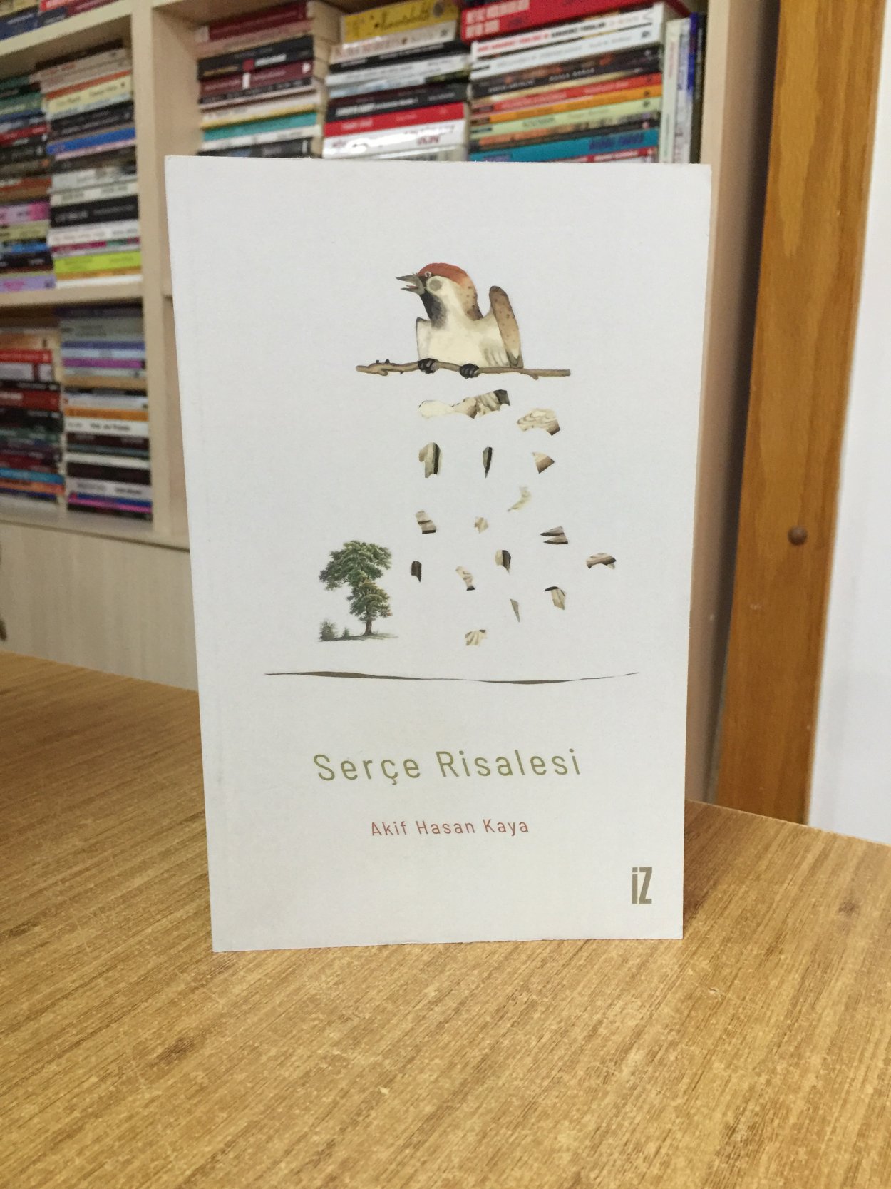 Serçe Risalesi - Akif Hasan Kaya