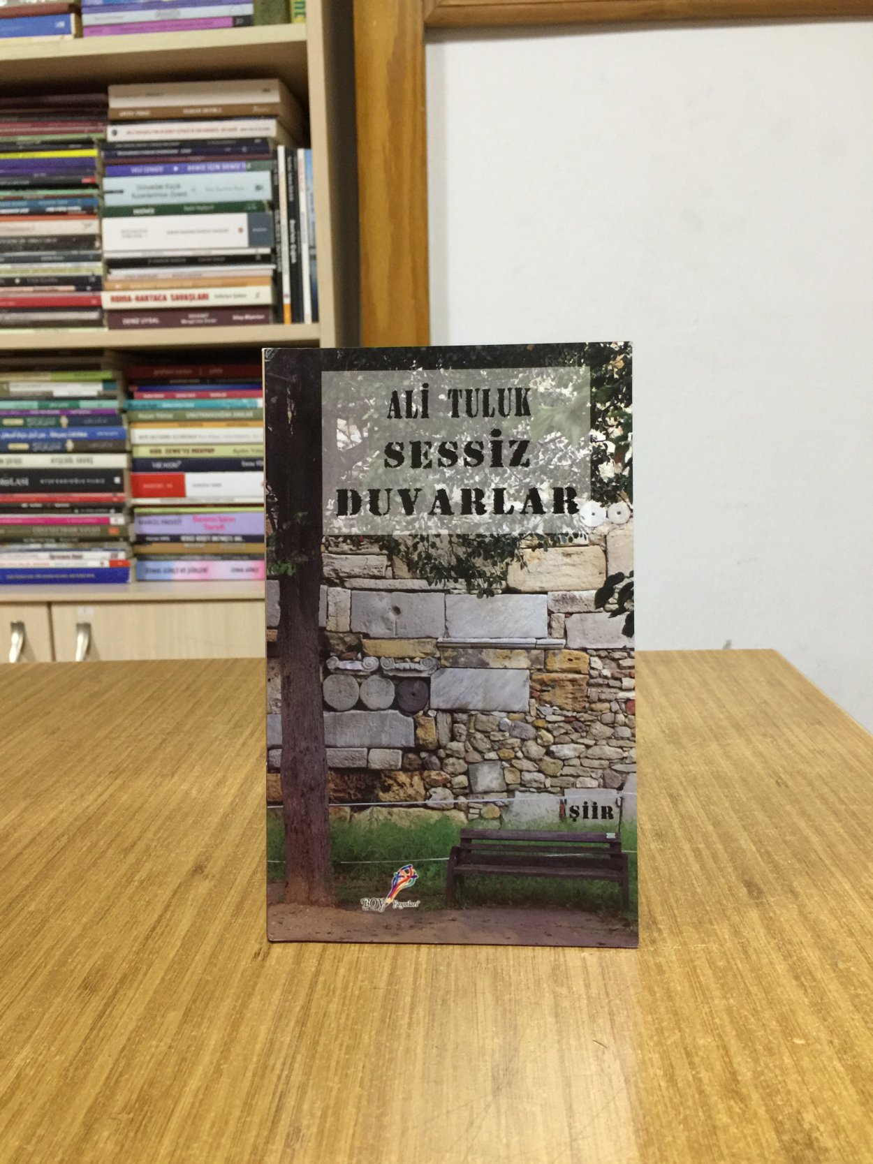 Sessiz Duvarlar - Ali Tuluk
