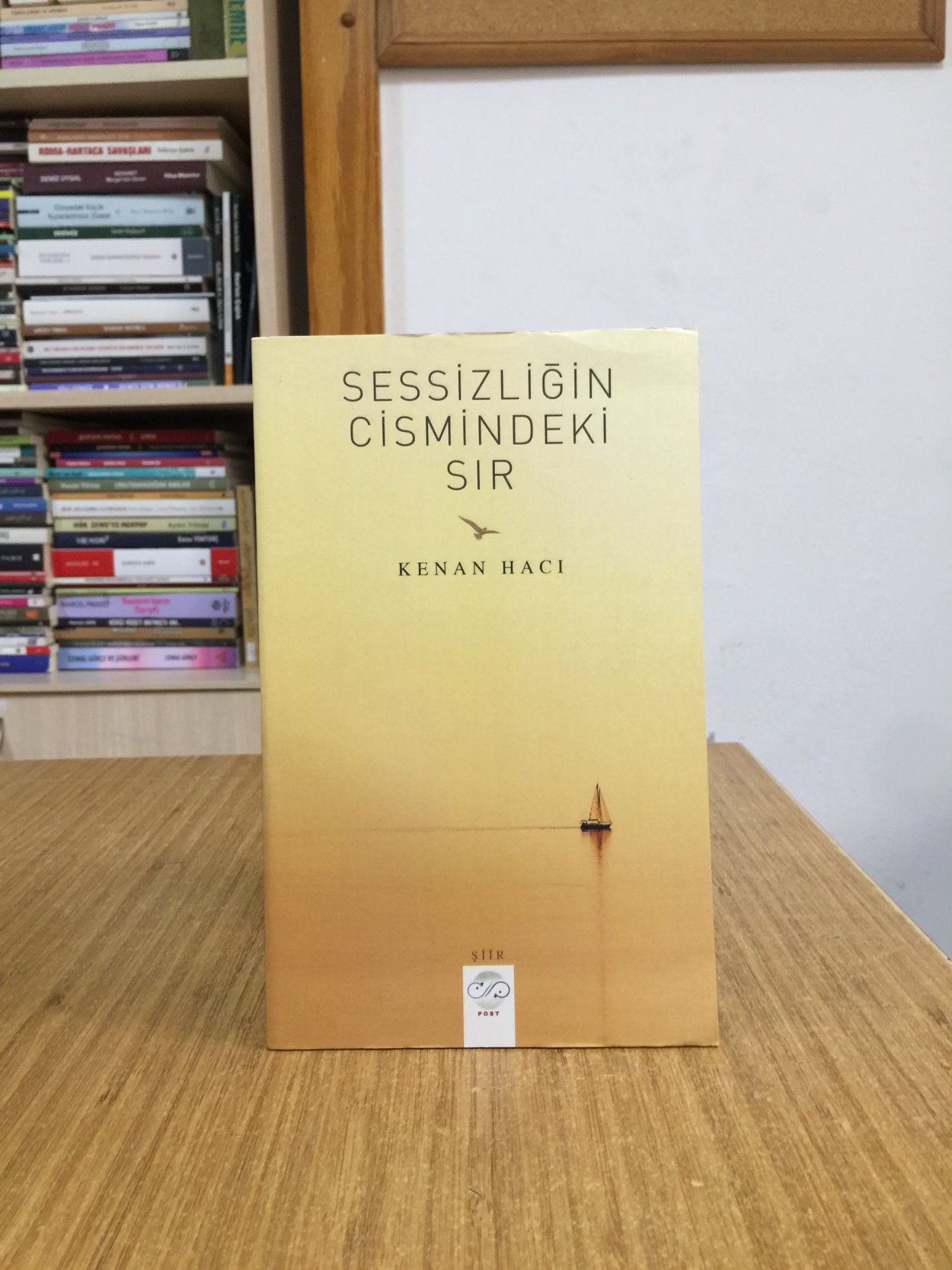 Sessizliğin Cismindeki Sır - Kenan Hacı //