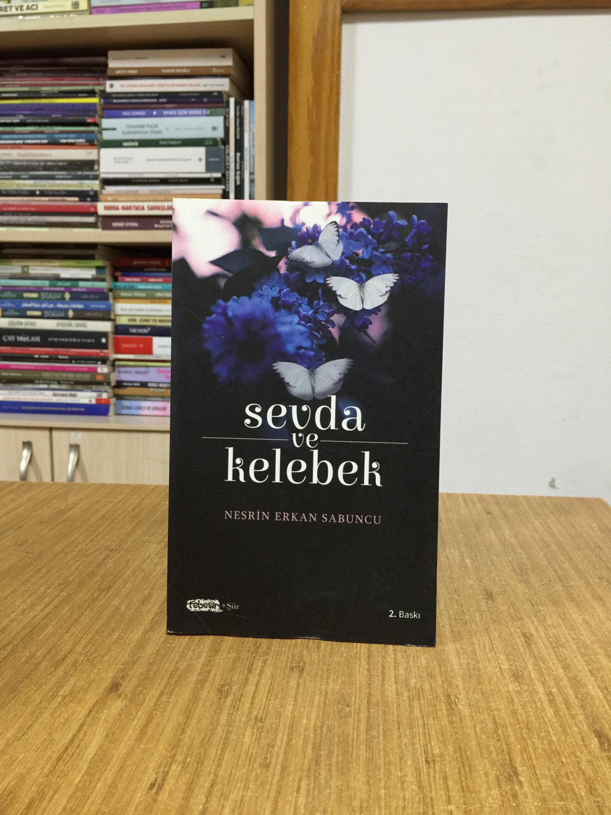 Sevda ve Kelebek - Nesrin Erkan Sabuncu