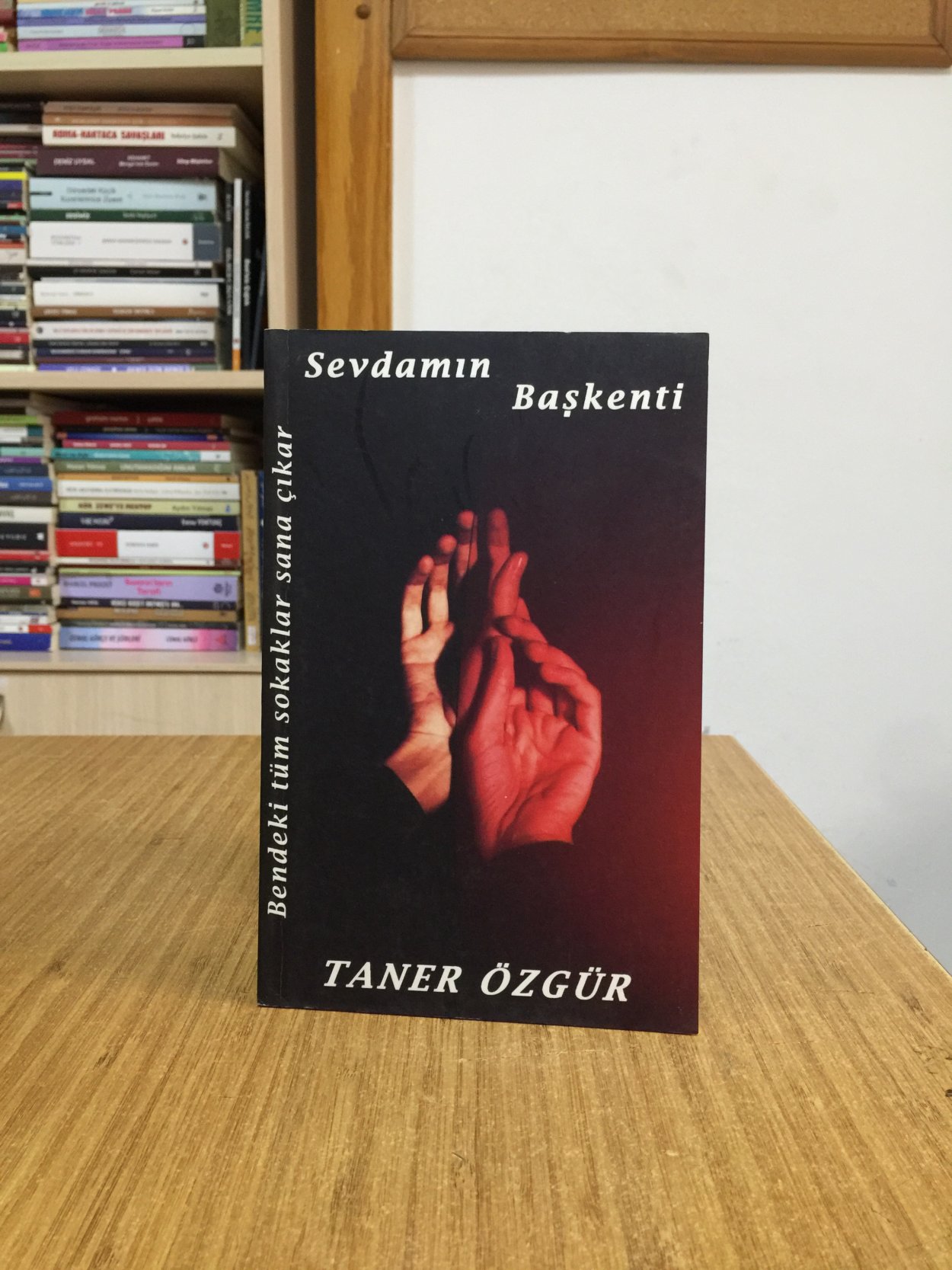 Sevdamın Başkentş - Taner Özgür