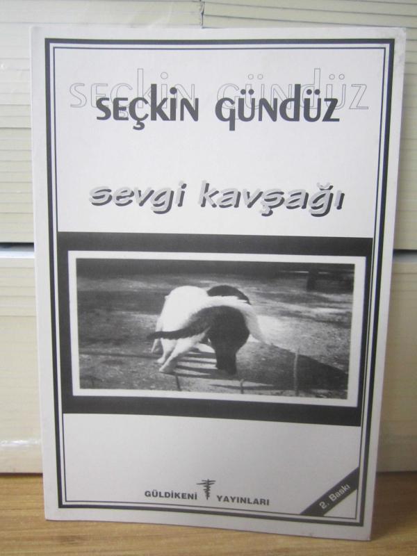 Sevgi Kavşağı - Seçkin Gündüz - 2.Baskı