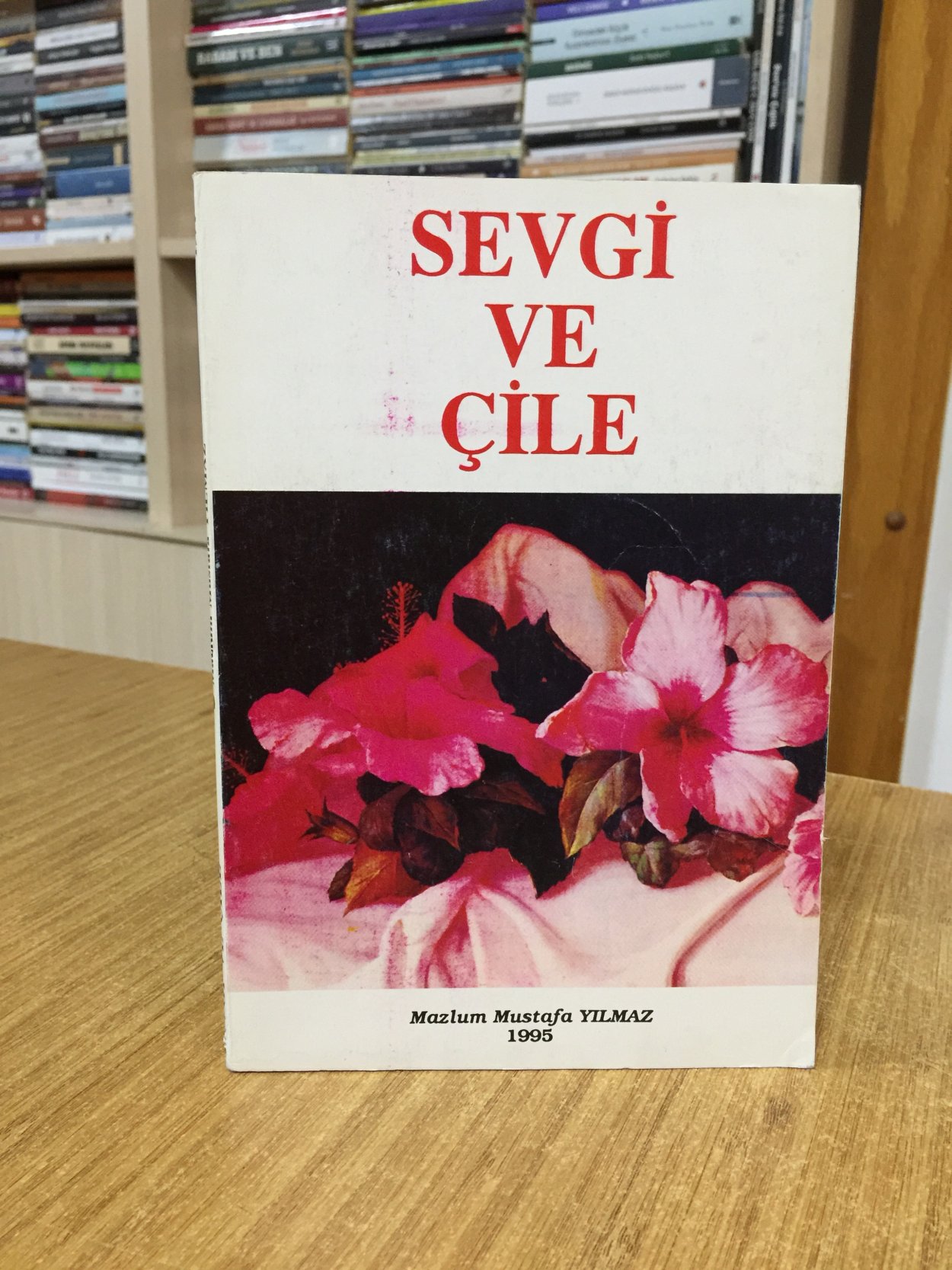 Sevgi ve Çile - Mazlum Mustafa Yılmaz (1995)