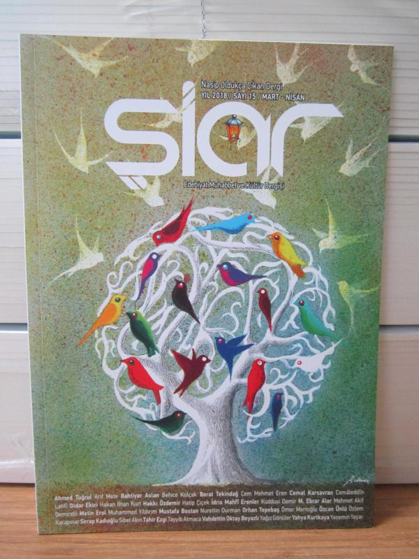 Şiar Dergisi - Sayı 20 - Ocak Şubat 2019