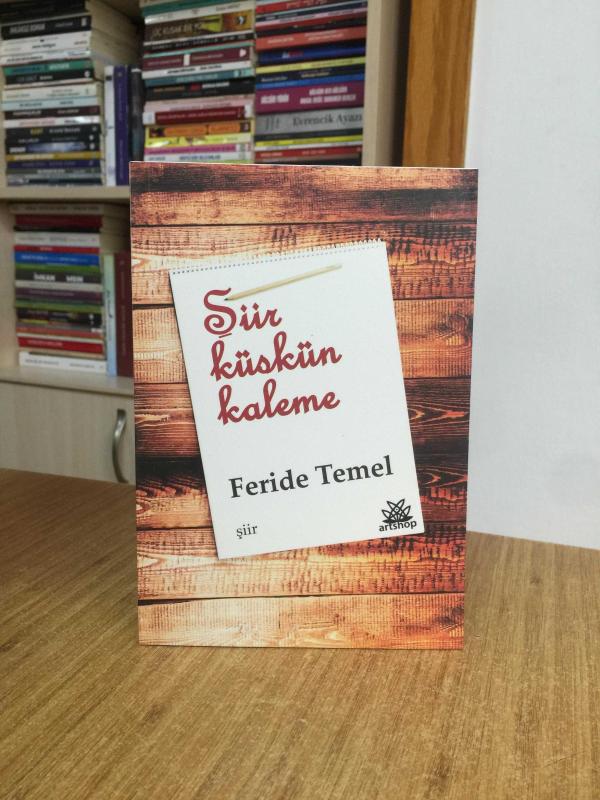 Şiir Küskün Kaleme - Feride temel