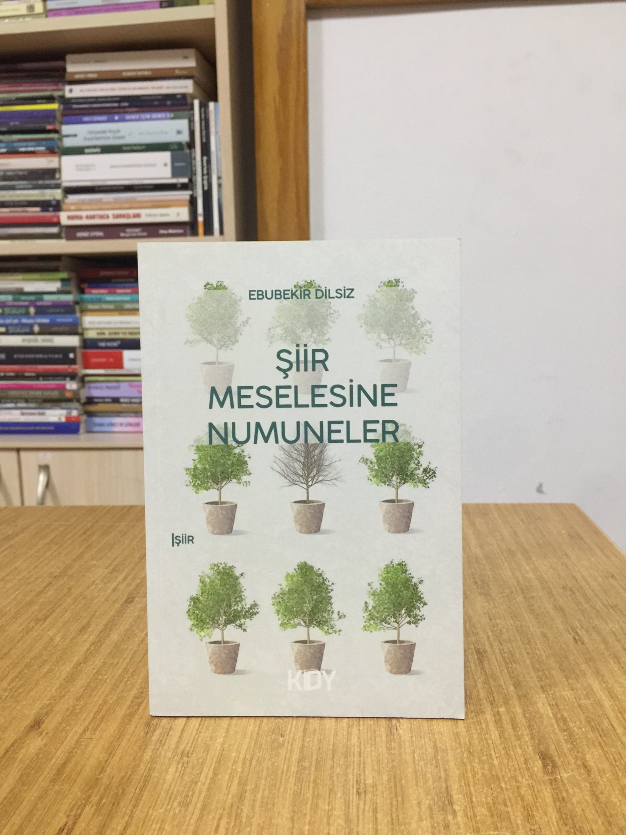 Şiir Meselesine Numuneler - Ebubekir Dilsiz