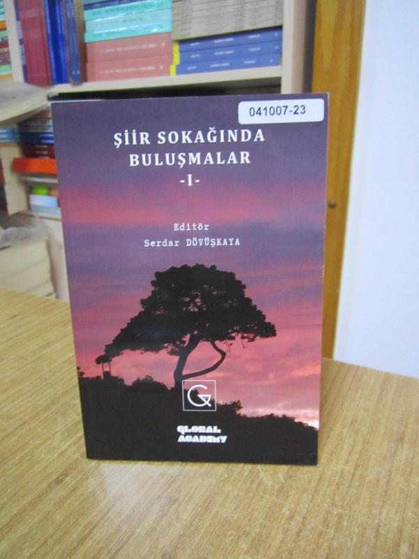 Şiir Sokağında Buluşmalar 1 - Editör: Serdar Dövüşkaya
