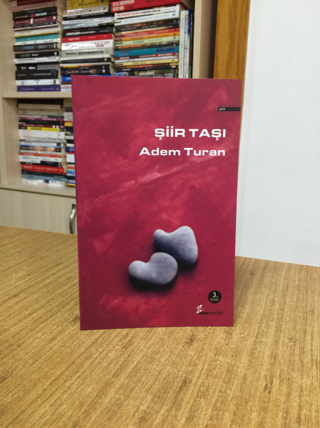 Şiir Taşı - Adem Turan