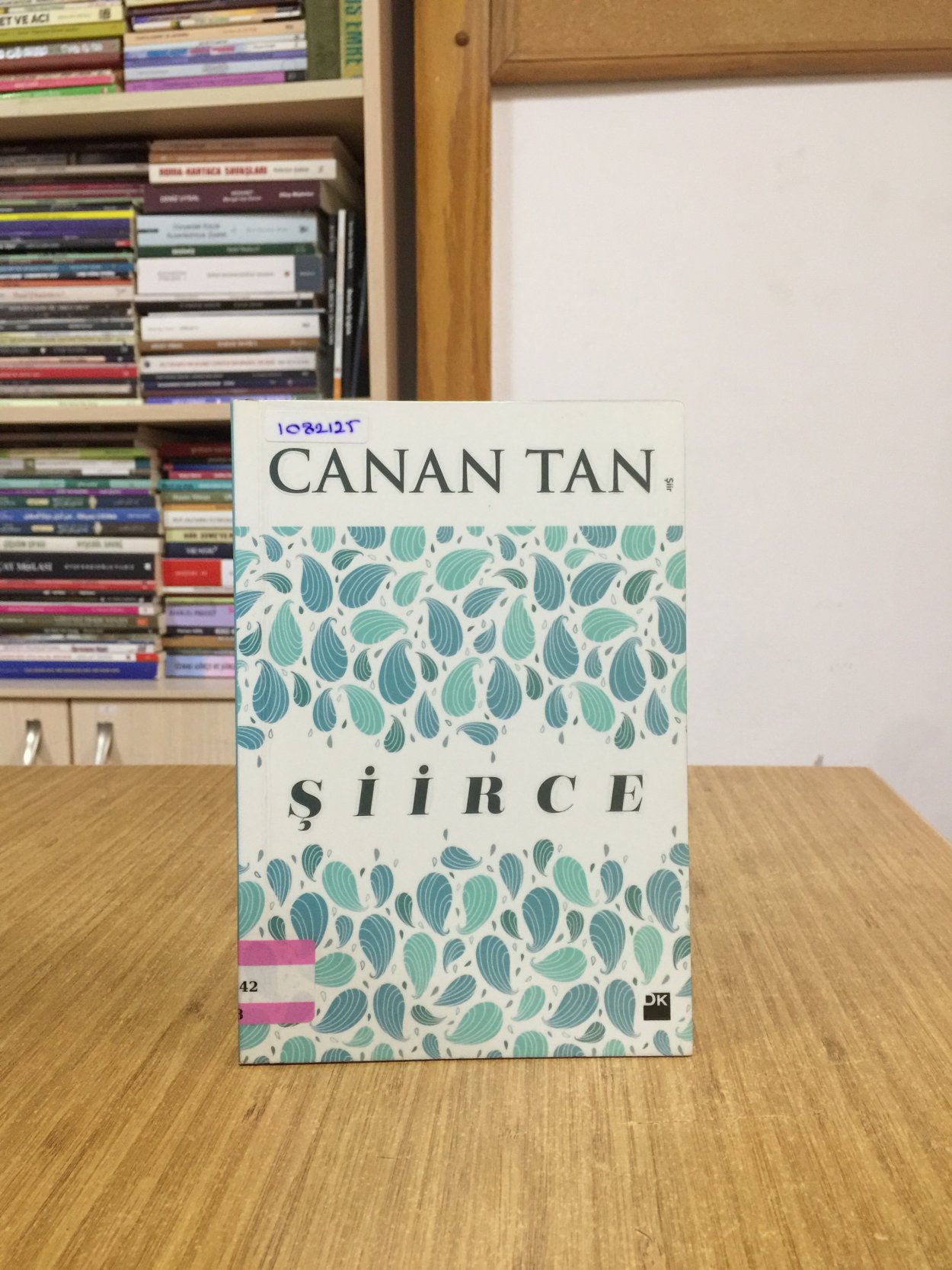 Şiirce - Canan Tan