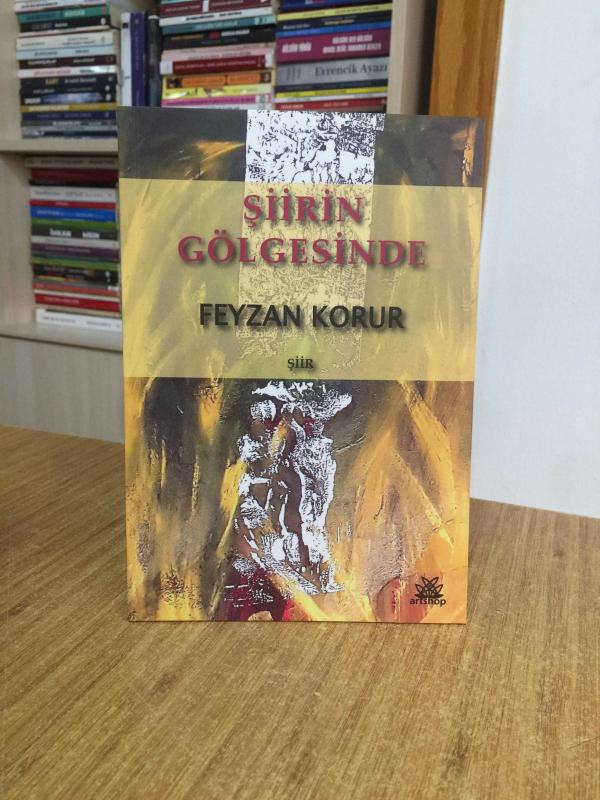 Şiirin Gölgesinde - Feyzan Korur
